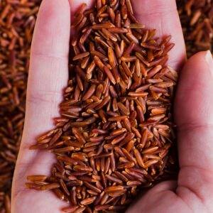 Navara Rice - నవర బియ్యం - 25kg
