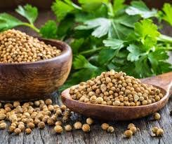 Coriander Seeds — ధనియాలు - 1kg