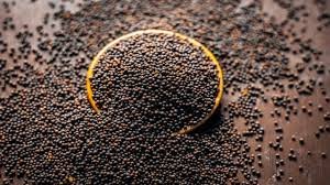 Mustard Seeds — ఆవాలు - 1kg