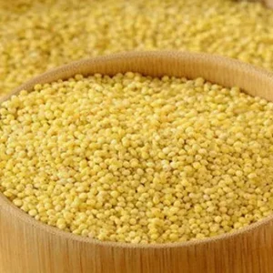 Foxtail Millet — కొర్రలు - 1kg