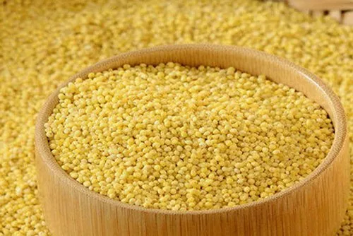 Foxtail Millet — కొర్రలు - 1kg